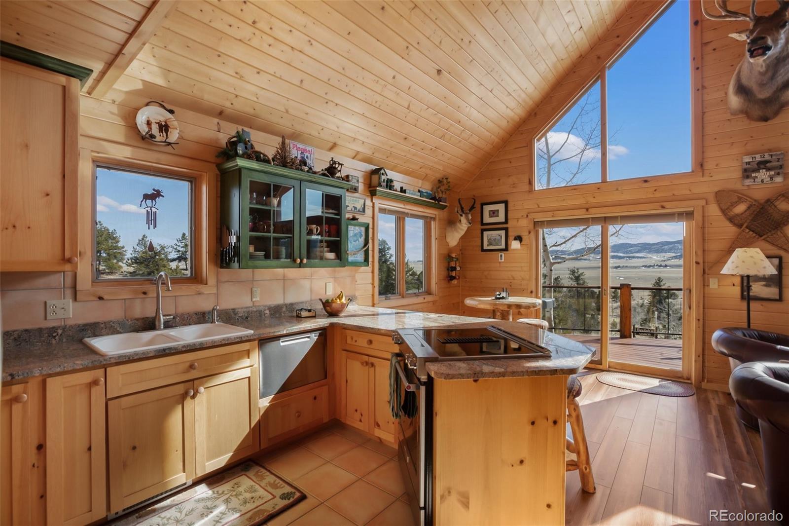 MLS Image #17 for 252  bandolier court,hartsel, Colorado
