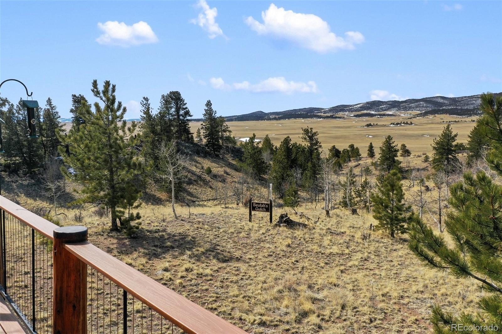 MLS Image #2 for 252  bandolier court,hartsel, Colorado