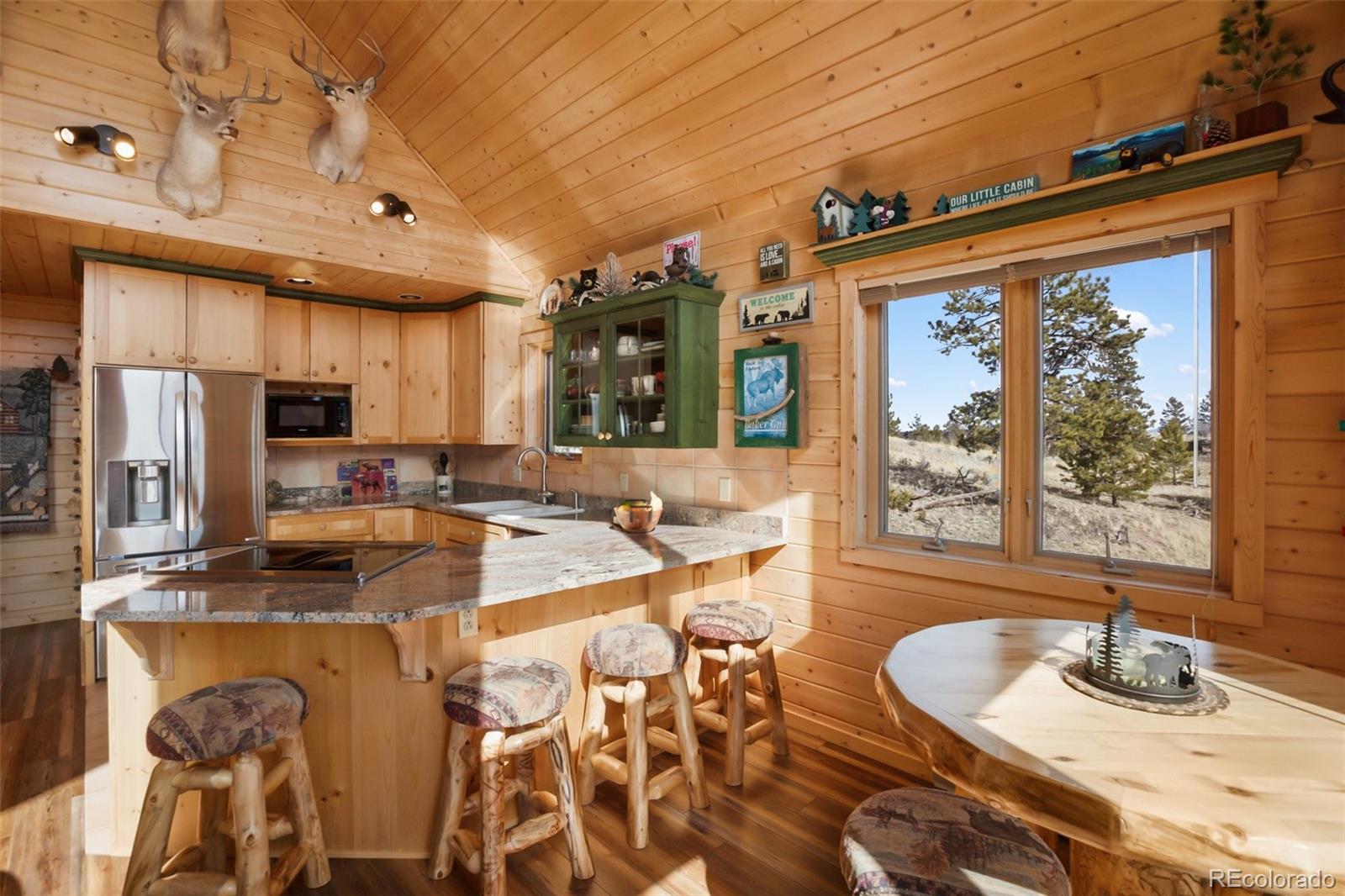 MLS Image #20 for 252  bandolier court,hartsel, Colorado