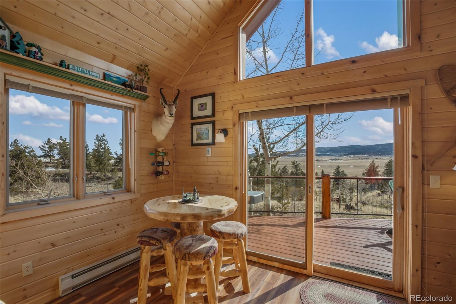 MLS Image #22 for 252  bandolier court,hartsel, Colorado
