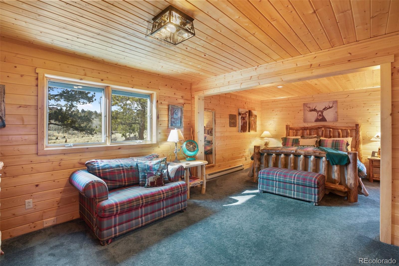 MLS Image #23 for 252  bandolier court,hartsel, Colorado