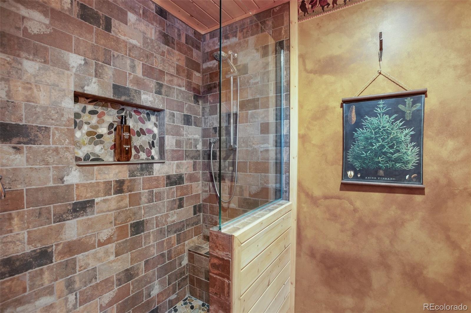 MLS Image #28 for 252  bandolier court,hartsel, Colorado