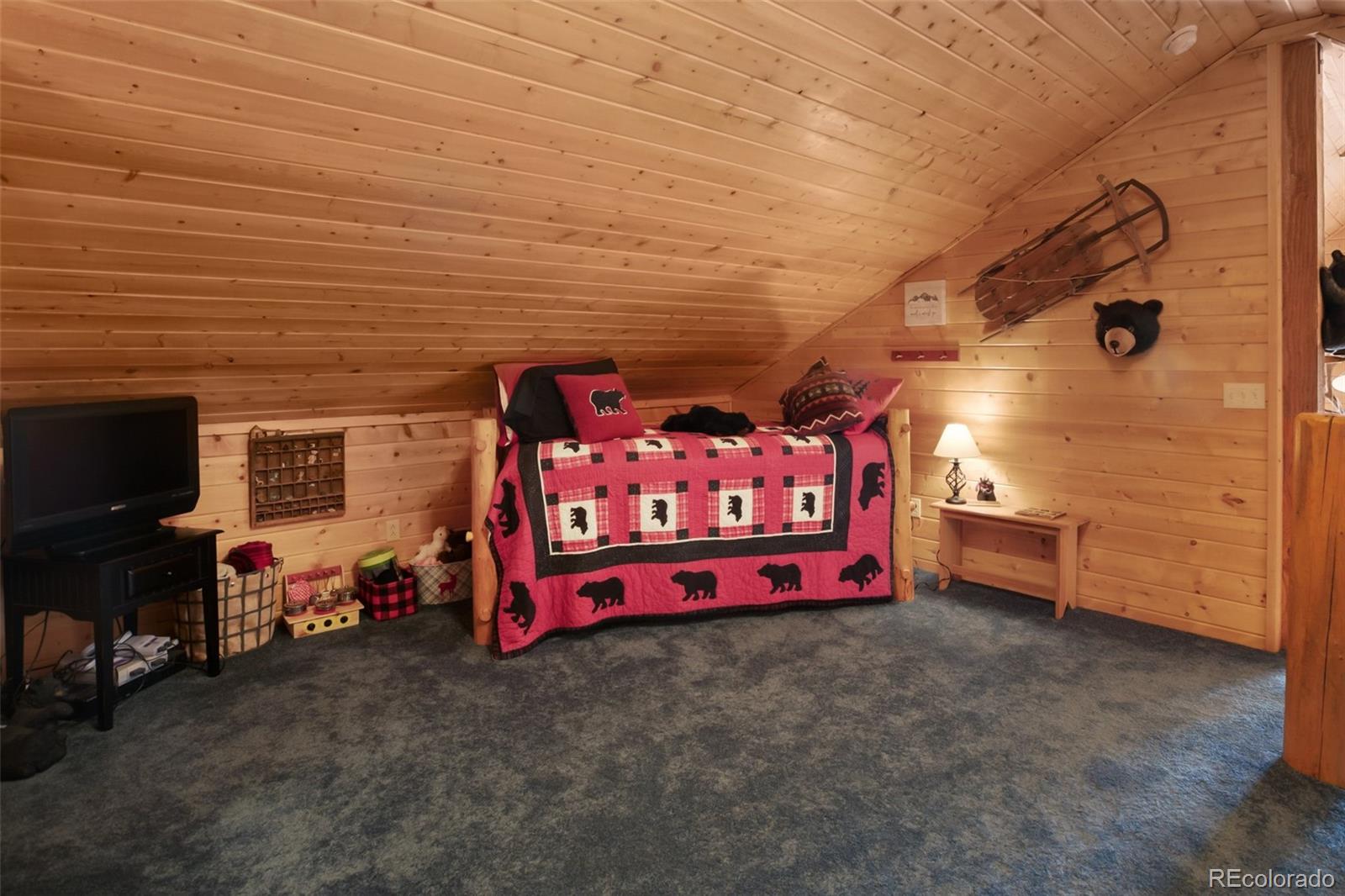 MLS Image #31 for 252  bandolier court,hartsel, Colorado