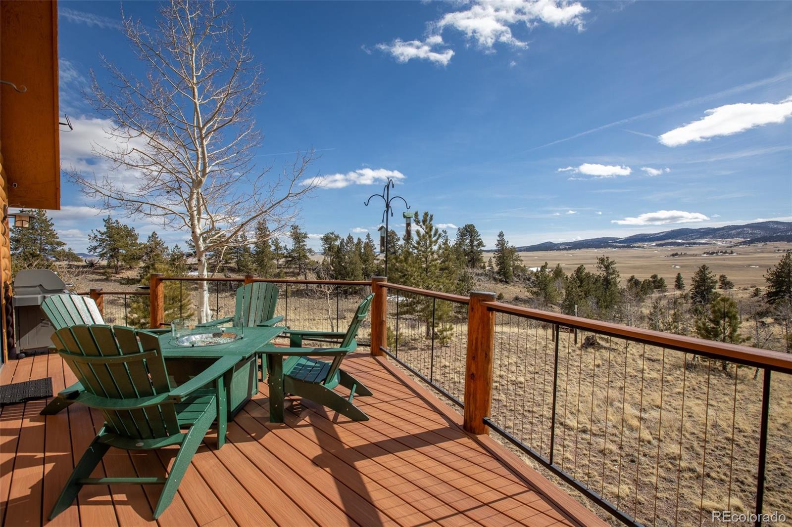 MLS Image #6 for 252  bandolier court,hartsel, Colorado