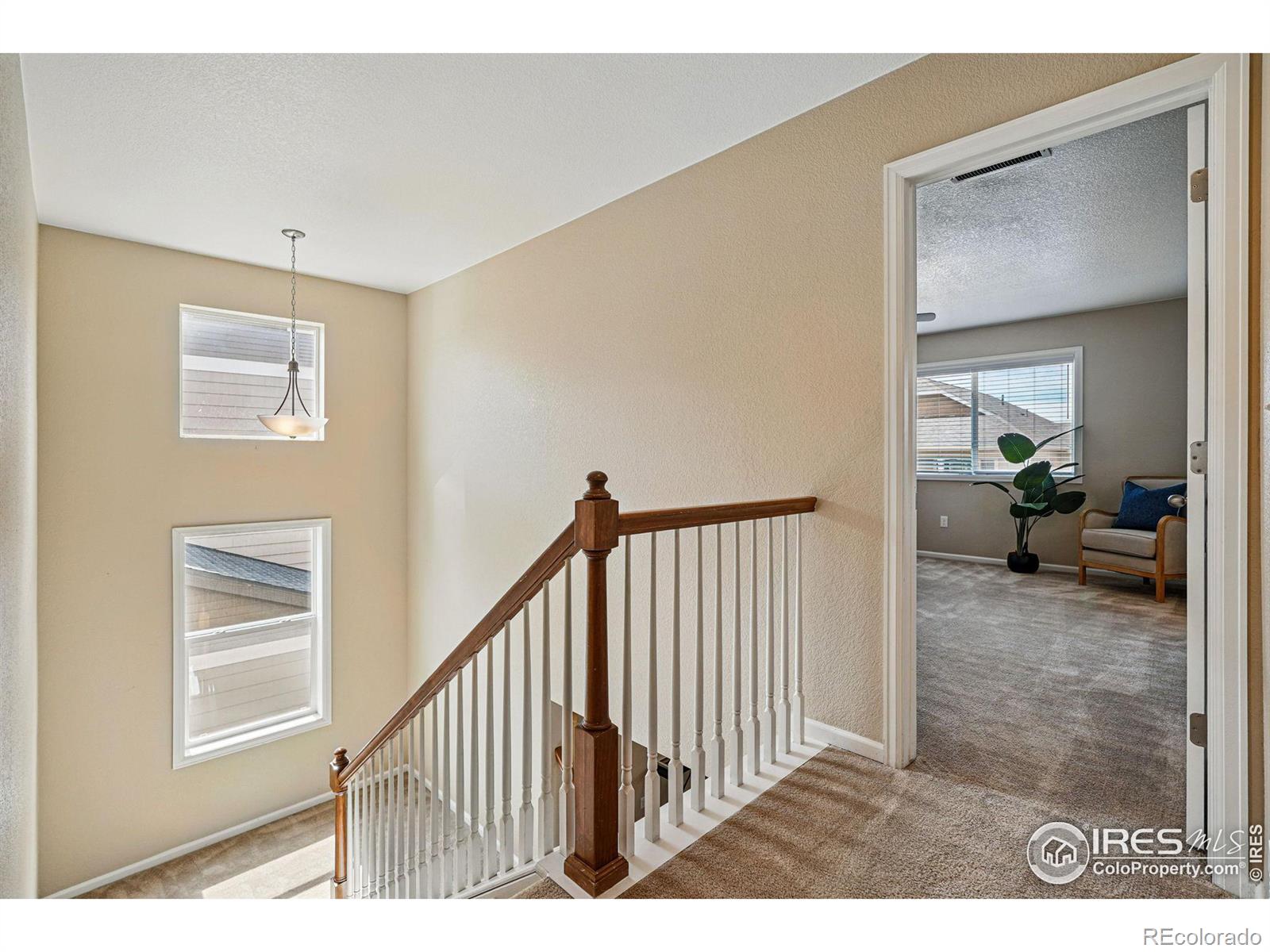MLS Image #18 for 12623  canoe street,firestone, Colorado