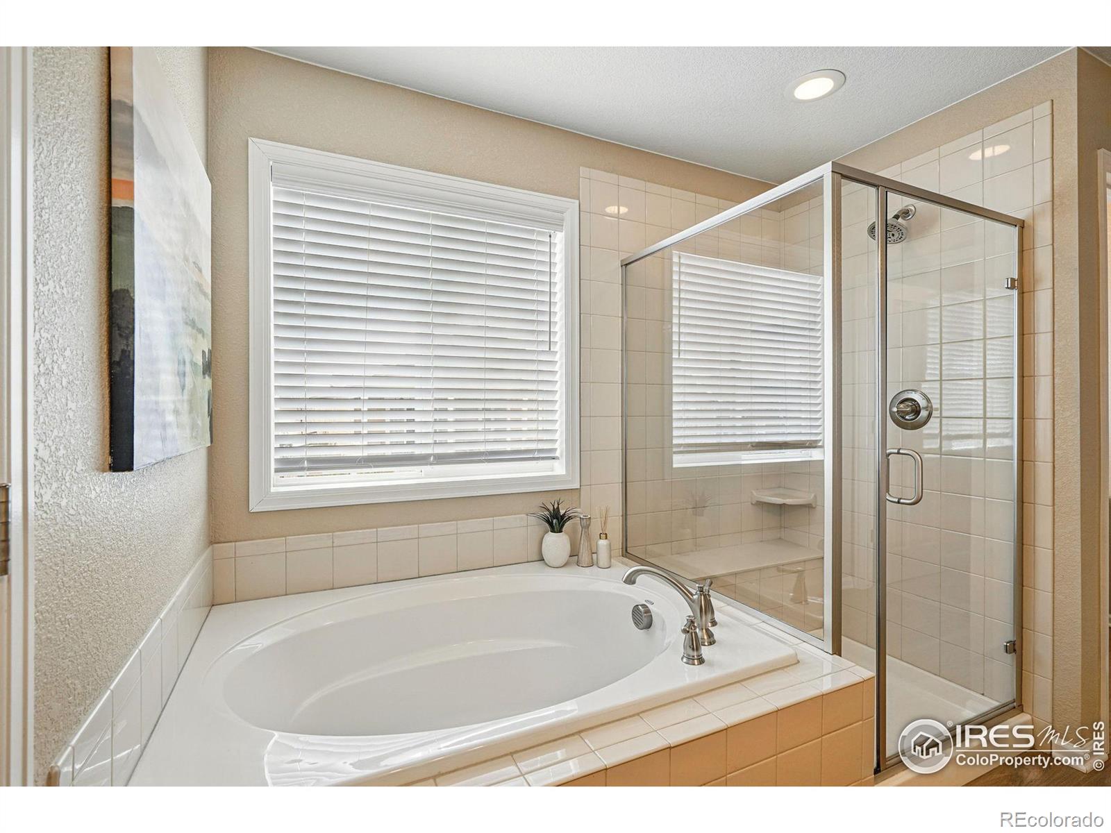 MLS Image #22 for 12623  canoe street,firestone, Colorado
