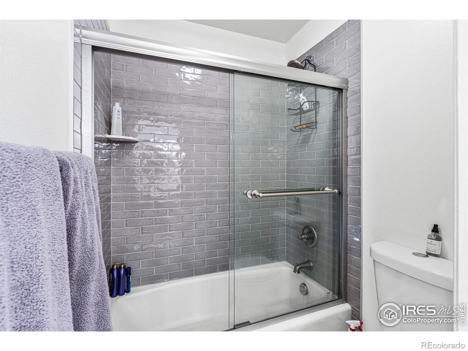 MLS Image #21 for 6850  frying pan road,boulder, Colorado