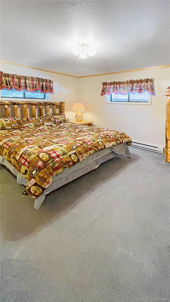 MLS Image #11 for 18  pine drive,antonito, Colorado