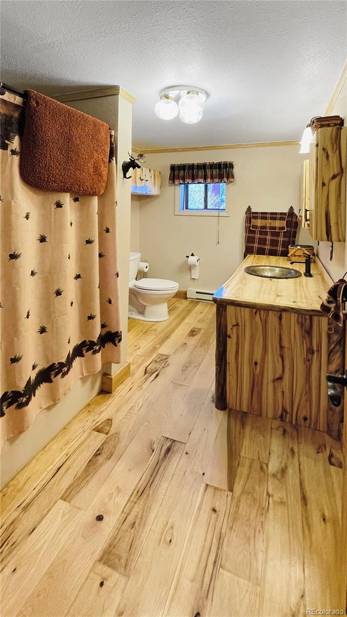 MLS Image #9 for 18  pine drive,antonito, Colorado
