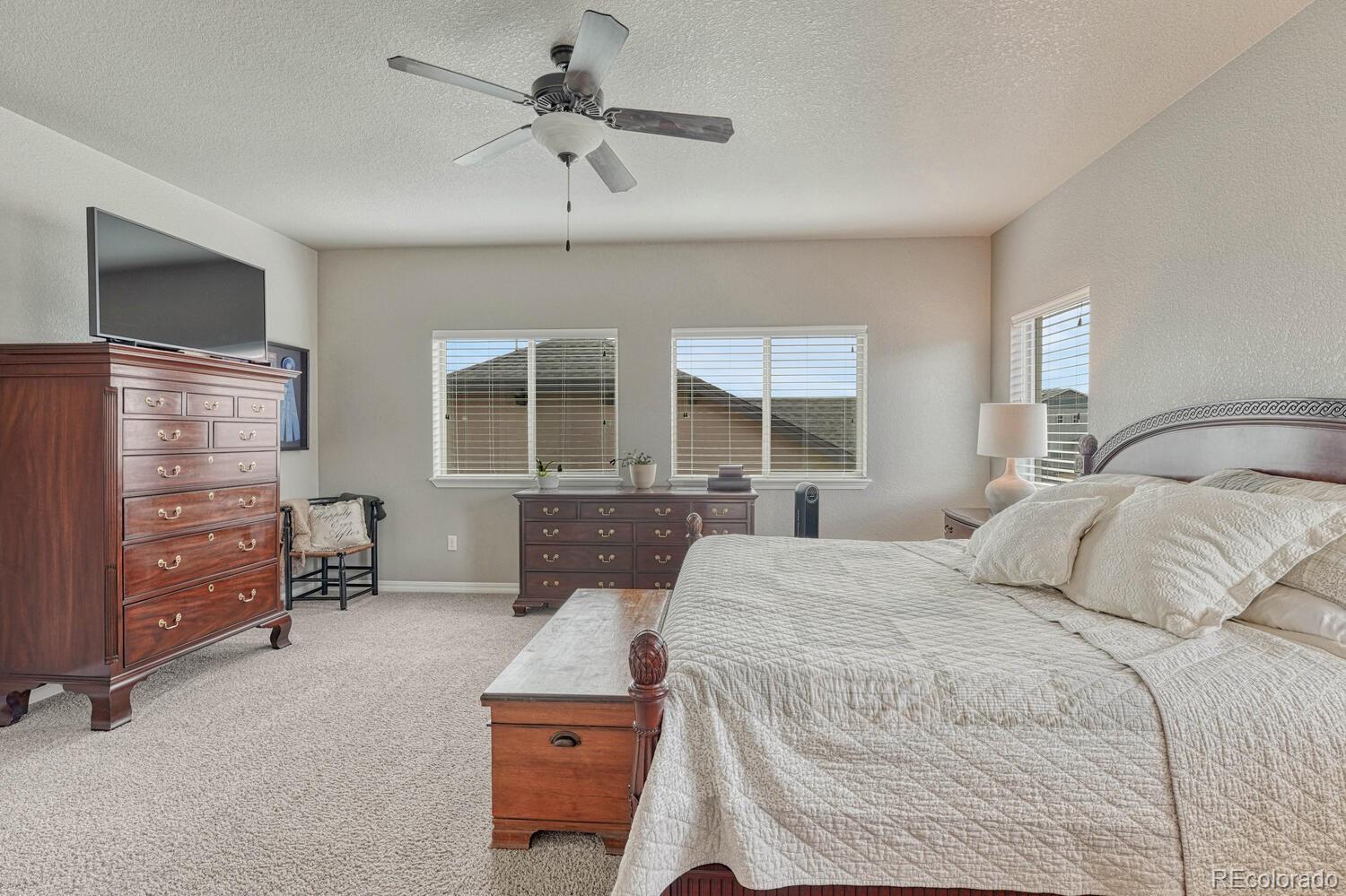 MLS Image #23 for 6132  cubbage drive,colorado springs, Colorado