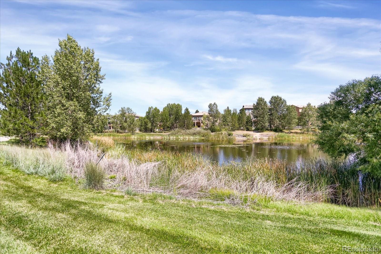 MLS Image #5 for 3419  traver drive,broomfield, Colorado