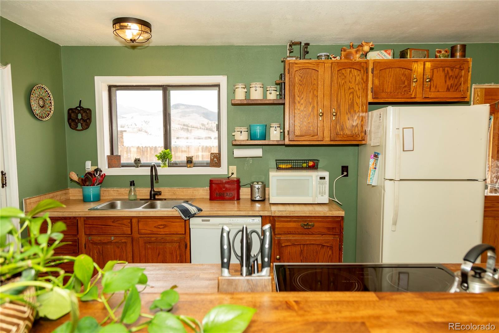 MLS Image #2 for 323  holy moses drive,creede, Colorado