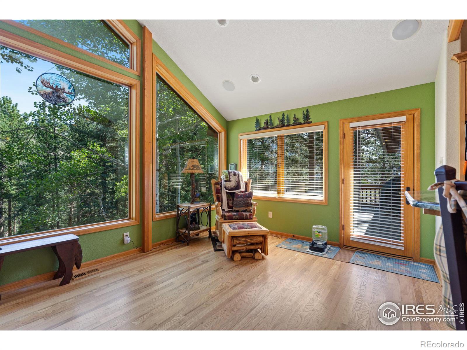 MLS Image #11 for 1069  fall river court,estes park, Colorado
