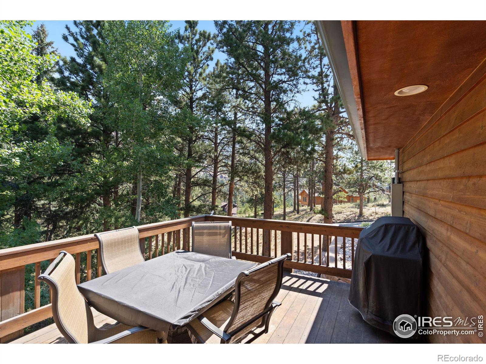 MLS Image #12 for 1069  fall river court,estes park, Colorado