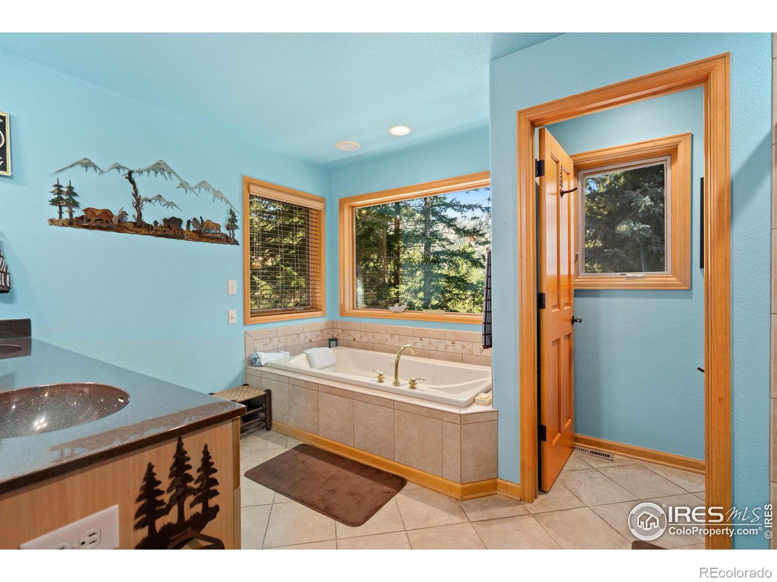 MLS Image #16 for 1069  fall river court,estes park, Colorado
