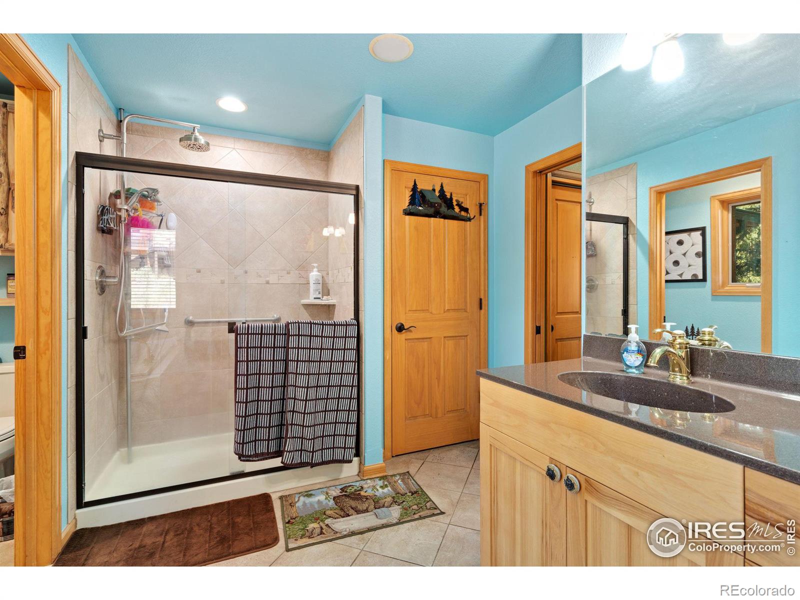 MLS Image #17 for 1069  fall river court,estes park, Colorado
