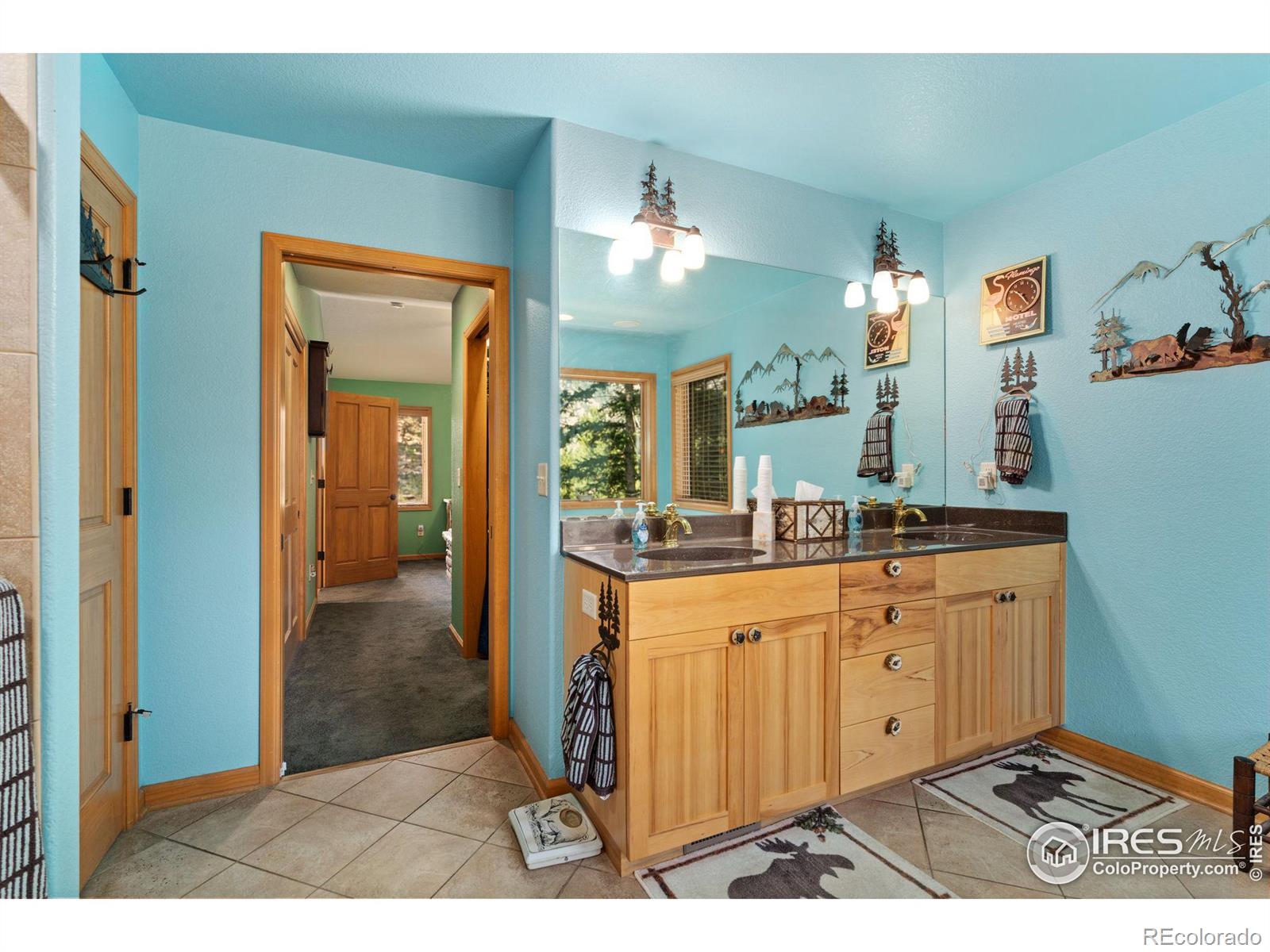 MLS Image #18 for 1069  fall river court,estes park, Colorado
