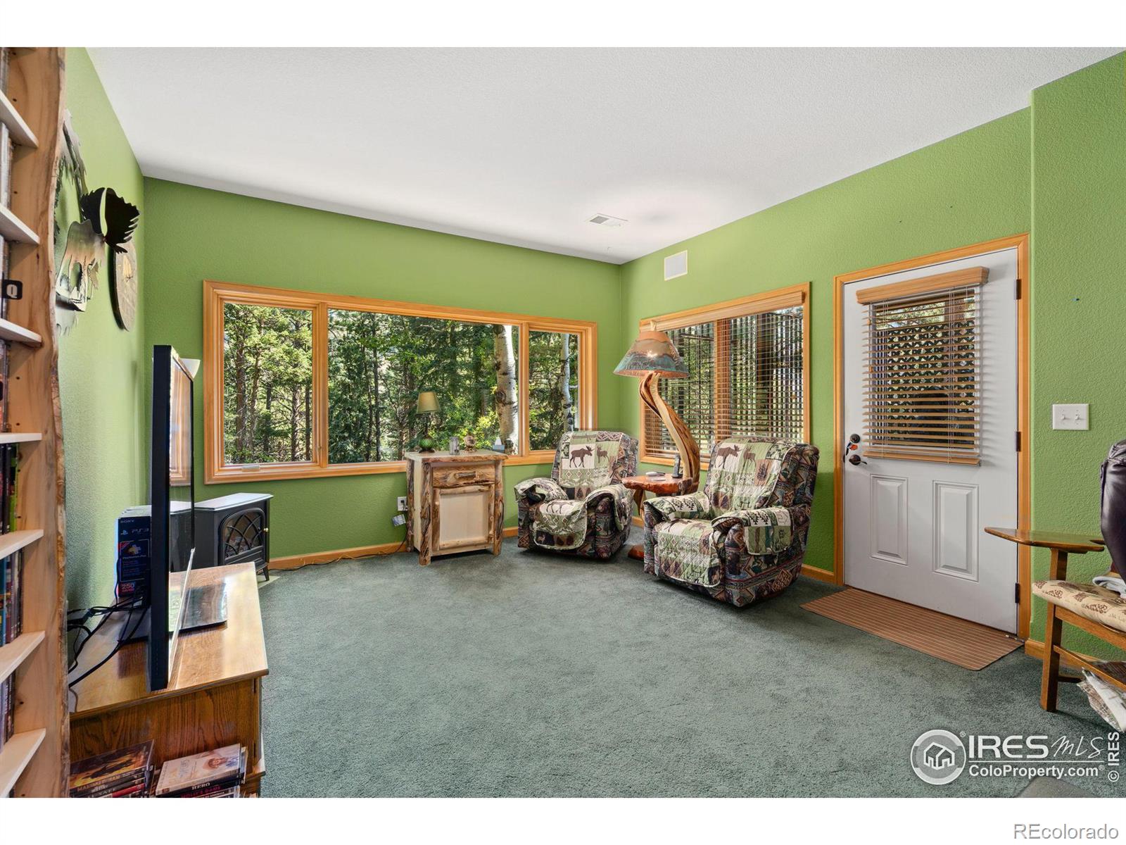 MLS Image #19 for 1069  fall river court,estes park, Colorado