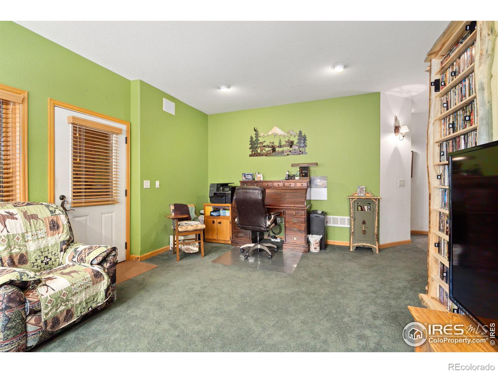 MLS Image #20 for 1069  fall river court,estes park, Colorado