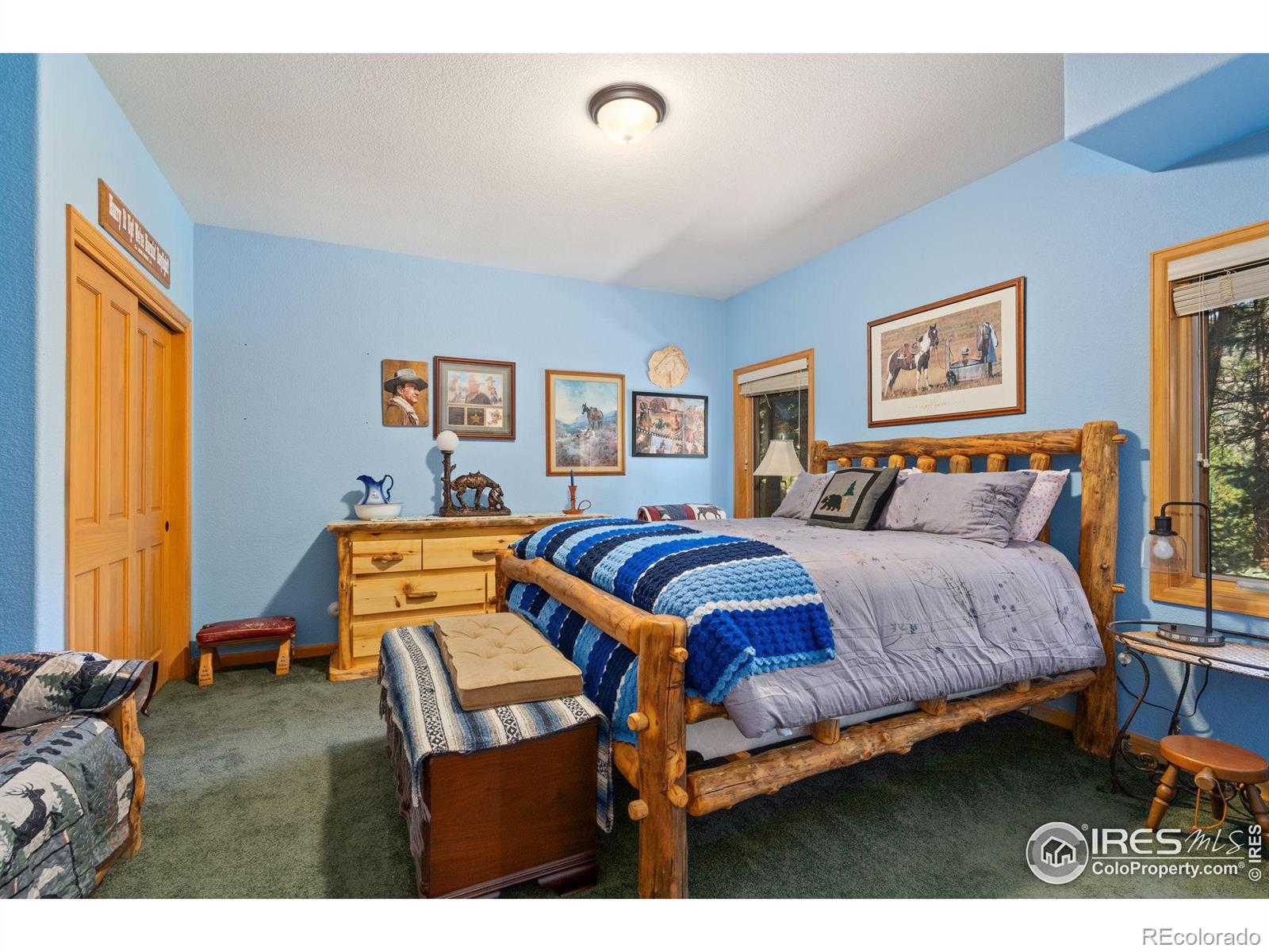 MLS Image #21 for 1069  fall river court,estes park, Colorado
