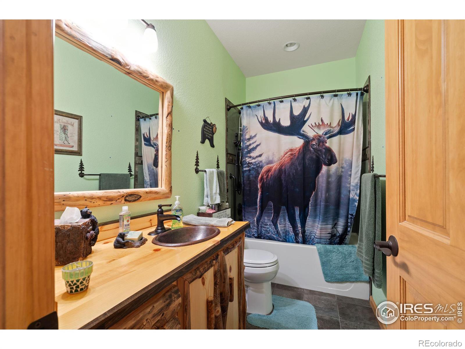 MLS Image #22 for 1069  fall river court,estes park, Colorado