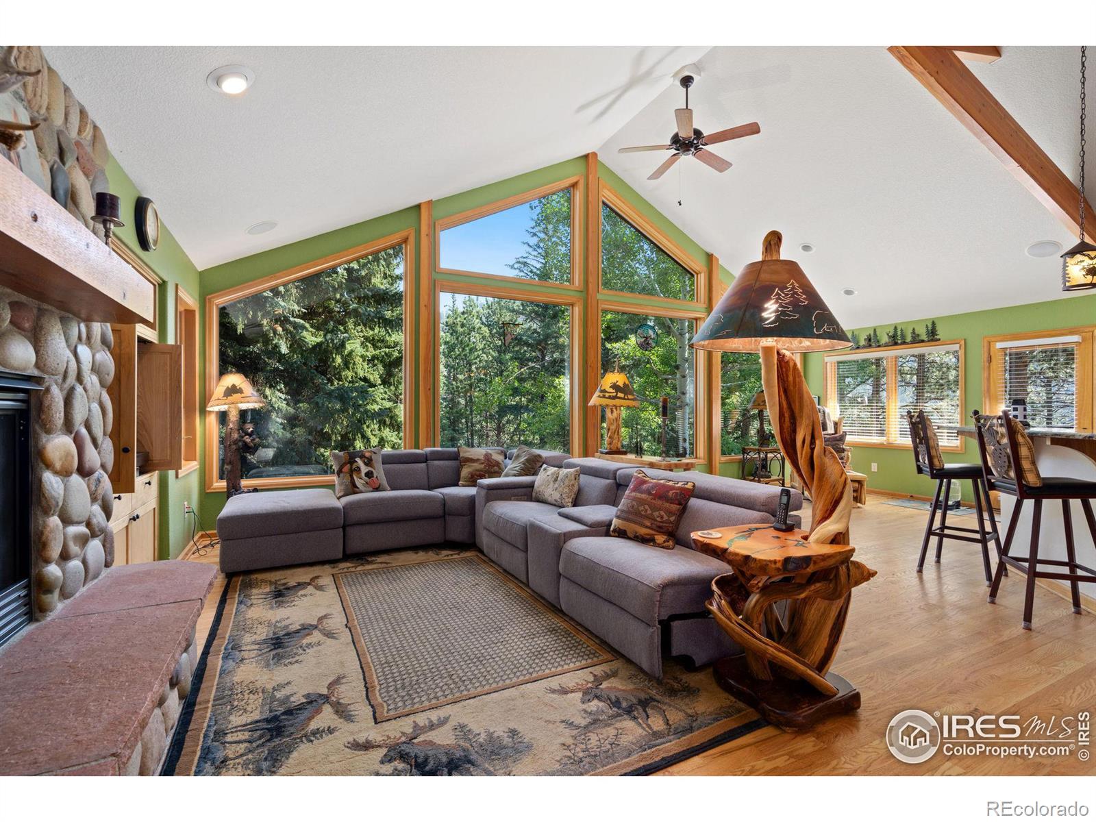 MLS Image #5 for 1069  fall river court,estes park, Colorado
