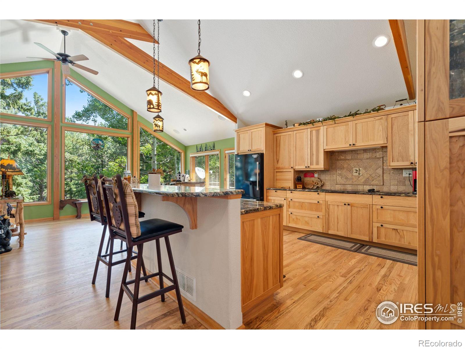 MLS Image #8 for 1069  fall river court,estes park, Colorado