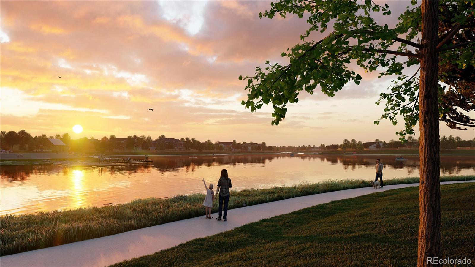 MLS Image #23 for 5869  gold finch court,timnath, Colorado
