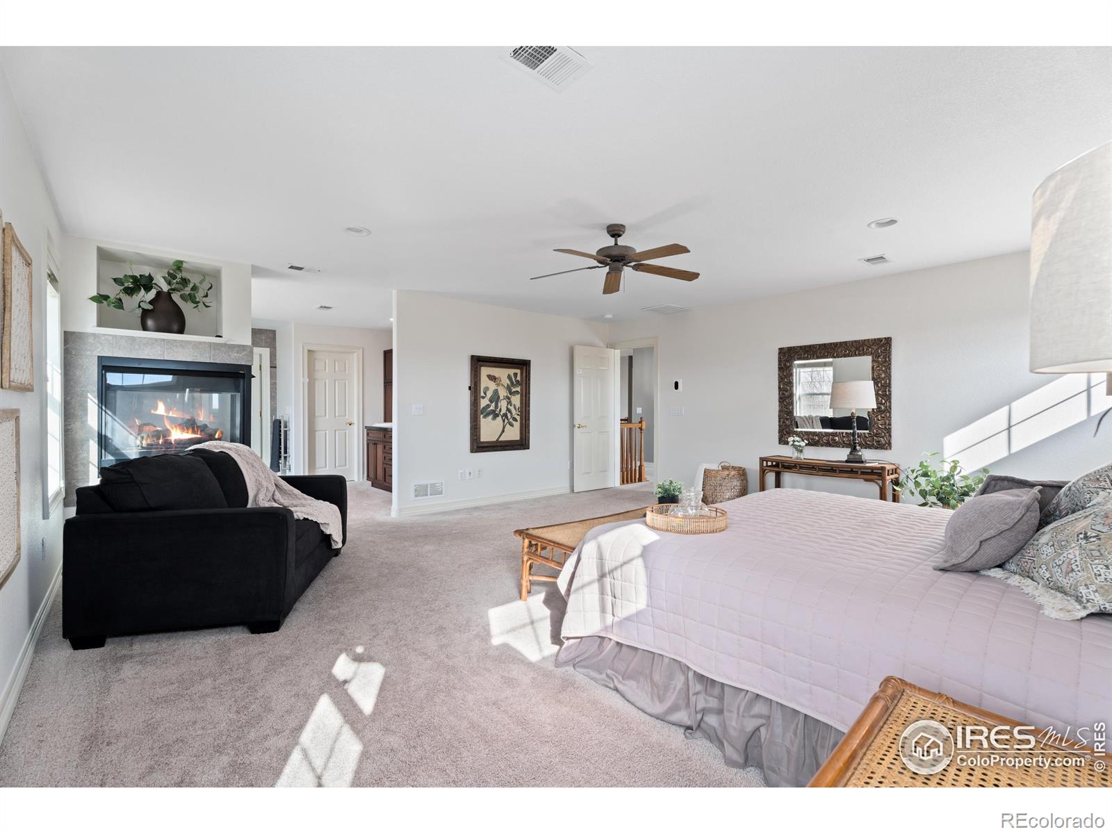 MLS Image #19 for 1432  red fox circle,severance, Colorado
