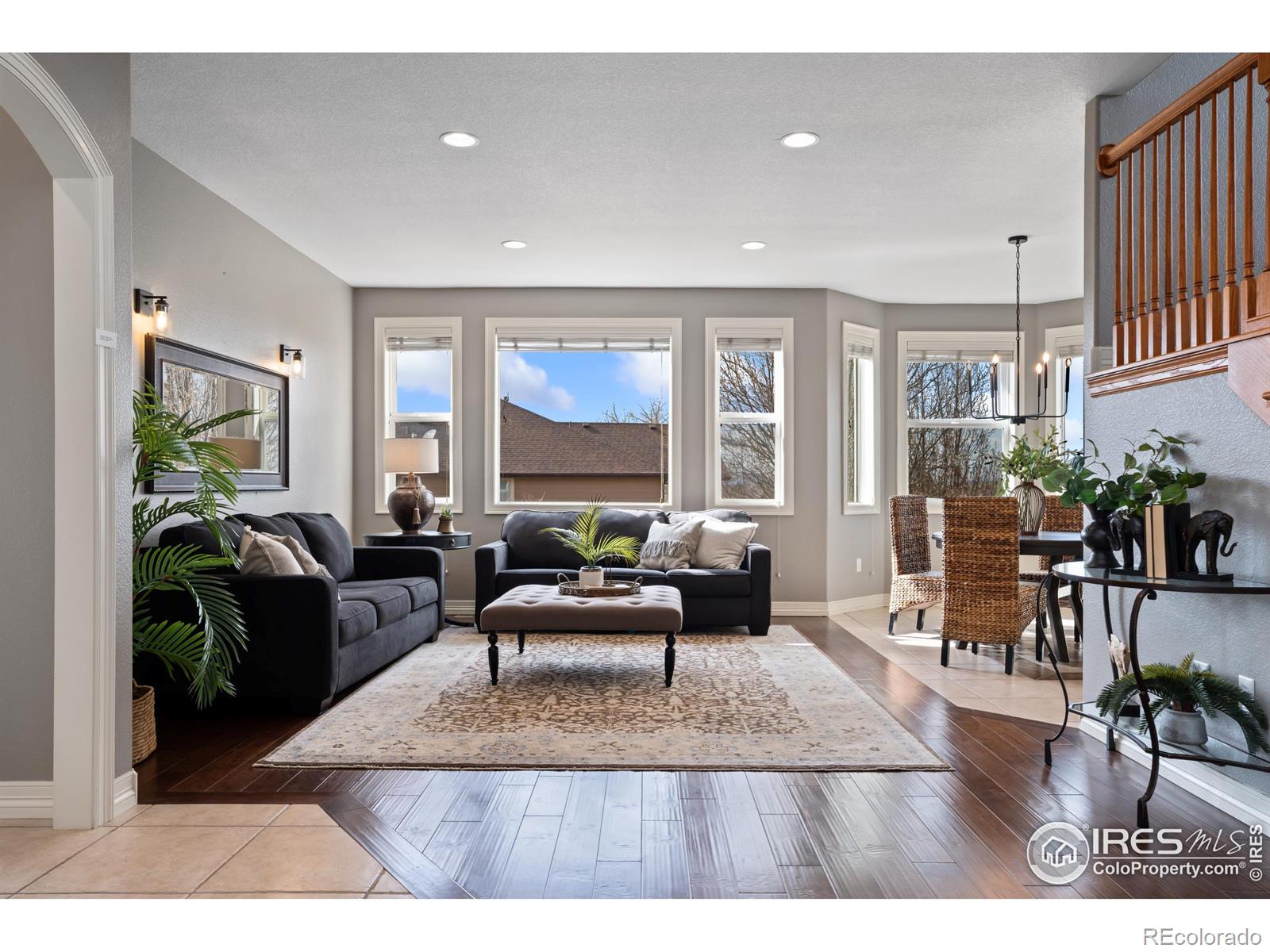 MLS Image #5 for 1432  red fox circle,severance, Colorado