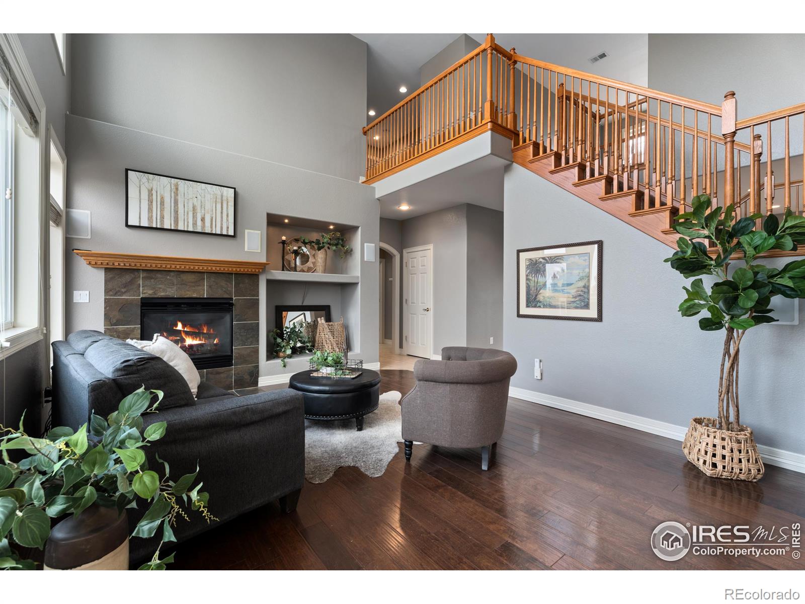 MLS Image #7 for 1432  red fox circle,severance, Colorado