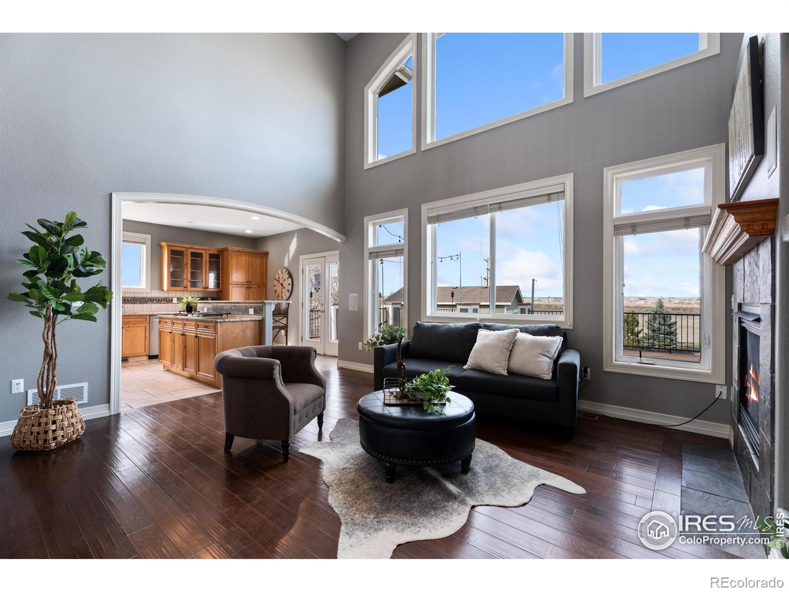 MLS Image #8 for 1432  red fox circle,severance, Colorado