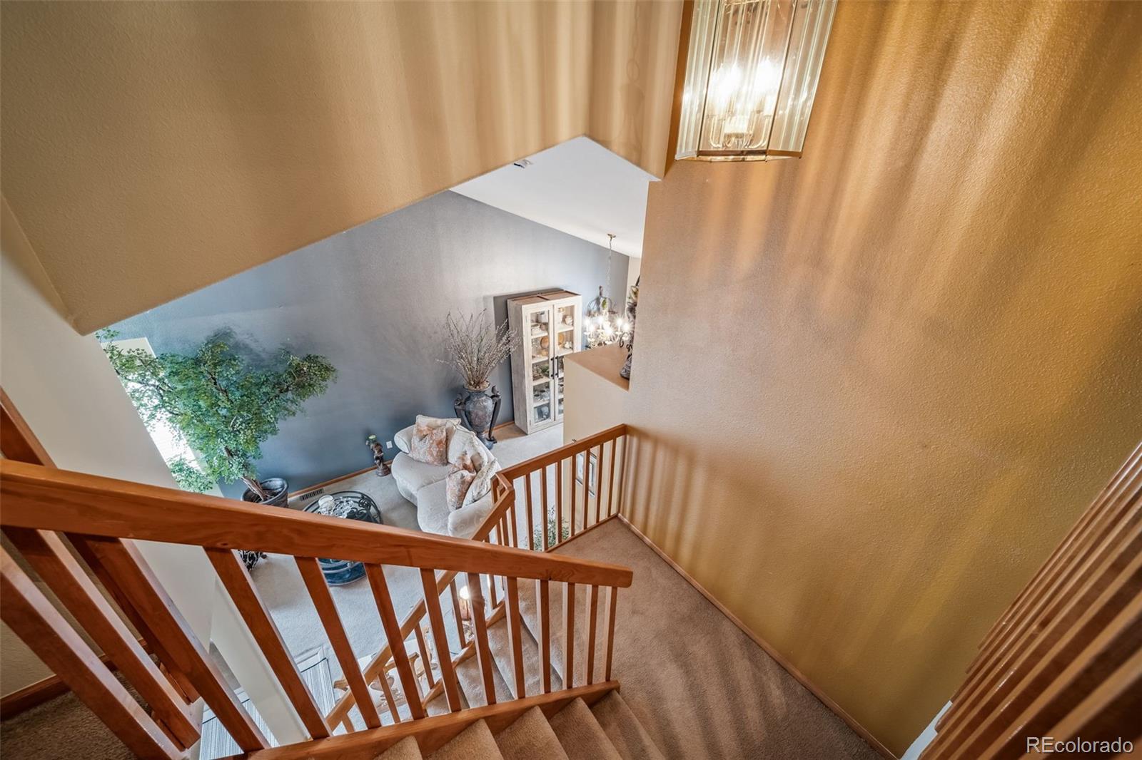 MLS Image #10 for 16309  hedgeway drive,parker, Colorado