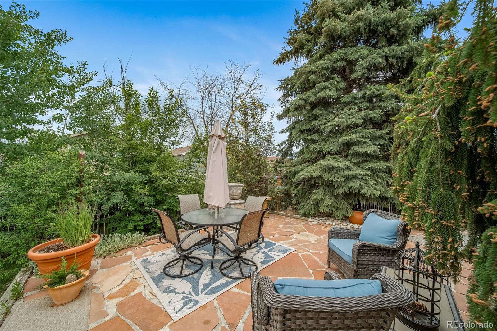 MLS Image #40 for 16309  hedgeway drive,parker, Colorado