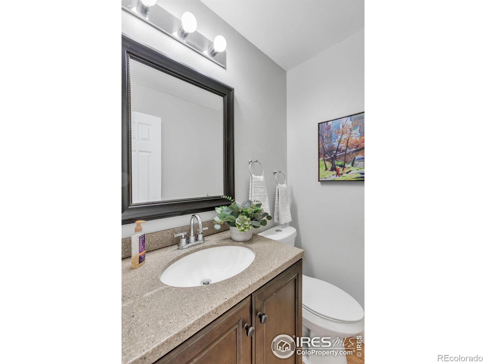 MLS Image #13 for 3762 w 99th avenue,westminster, Colorado