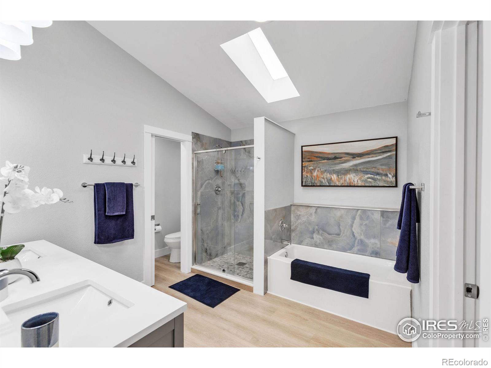MLS Image #15 for 3762 w 99th avenue,westminster, Colorado