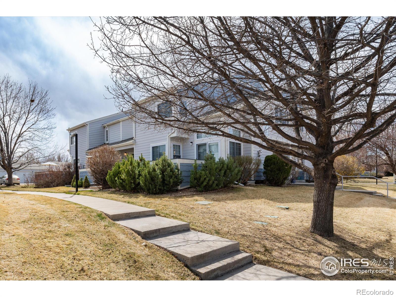 MLS Image #29 for 1419  red mountain drive,longmont, Colorado