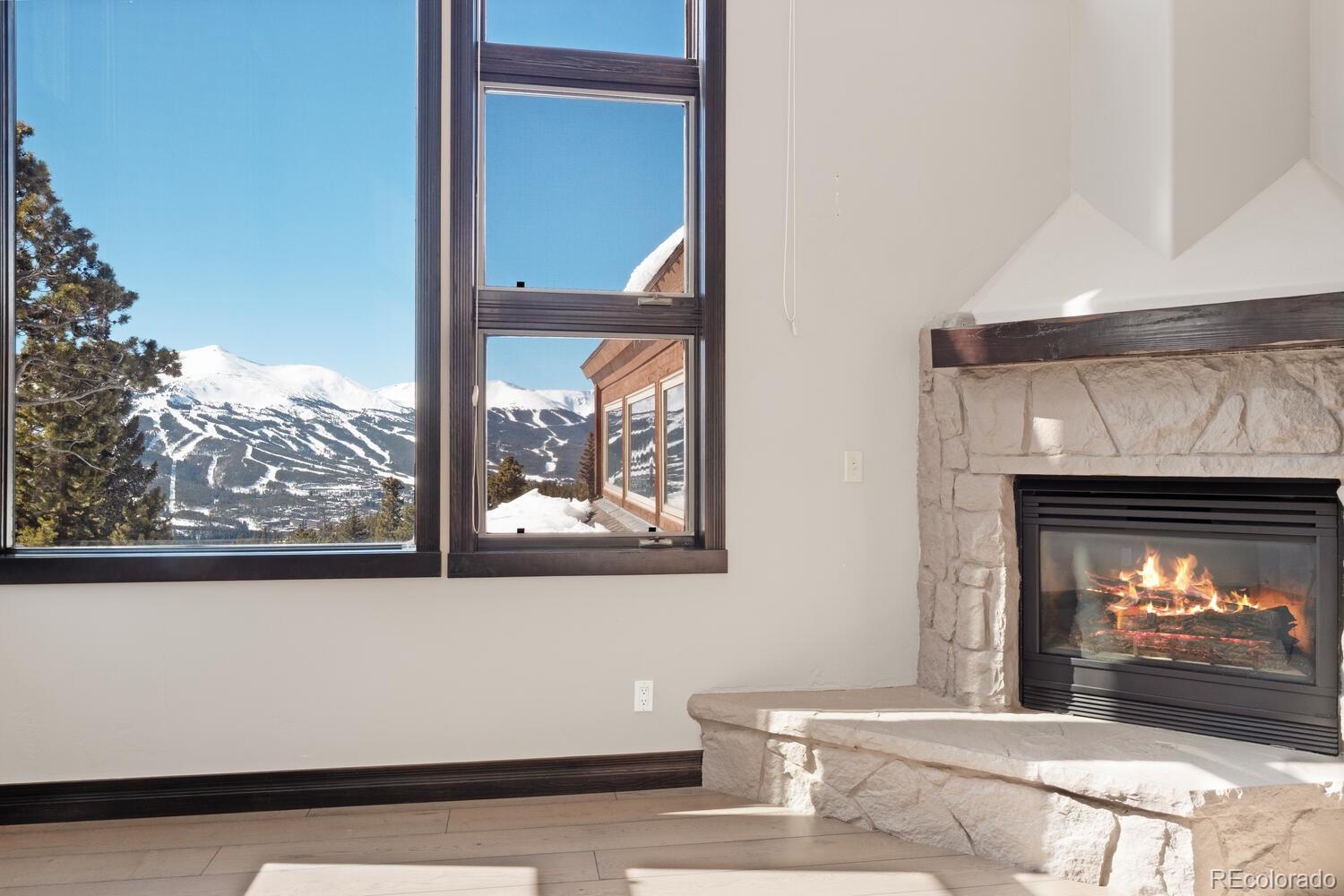 MLS Image #15 for 160 n fuller placer road,breckenridge, Colorado