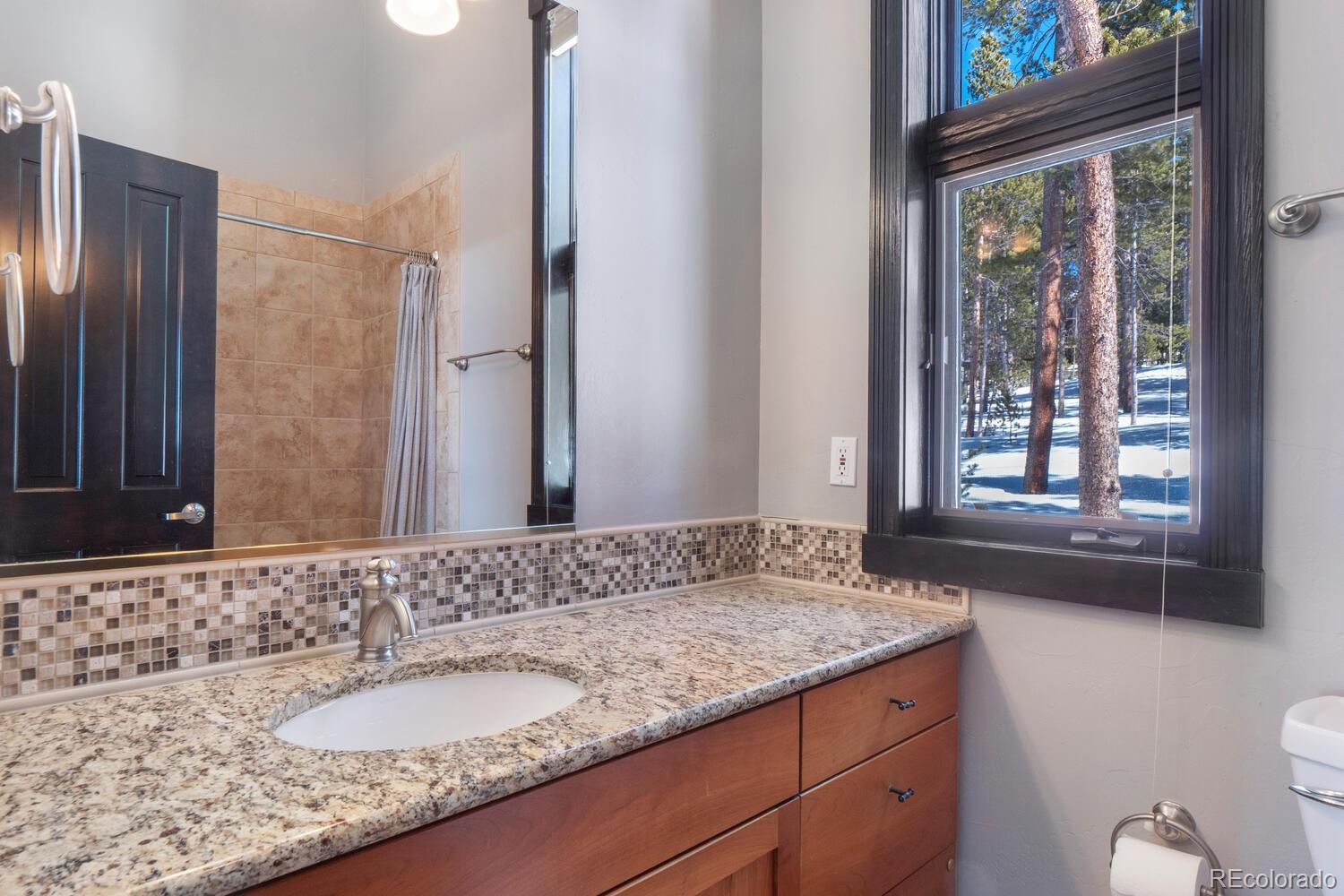 MLS Image #40 for 160 n fuller placer road,breckenridge, Colorado