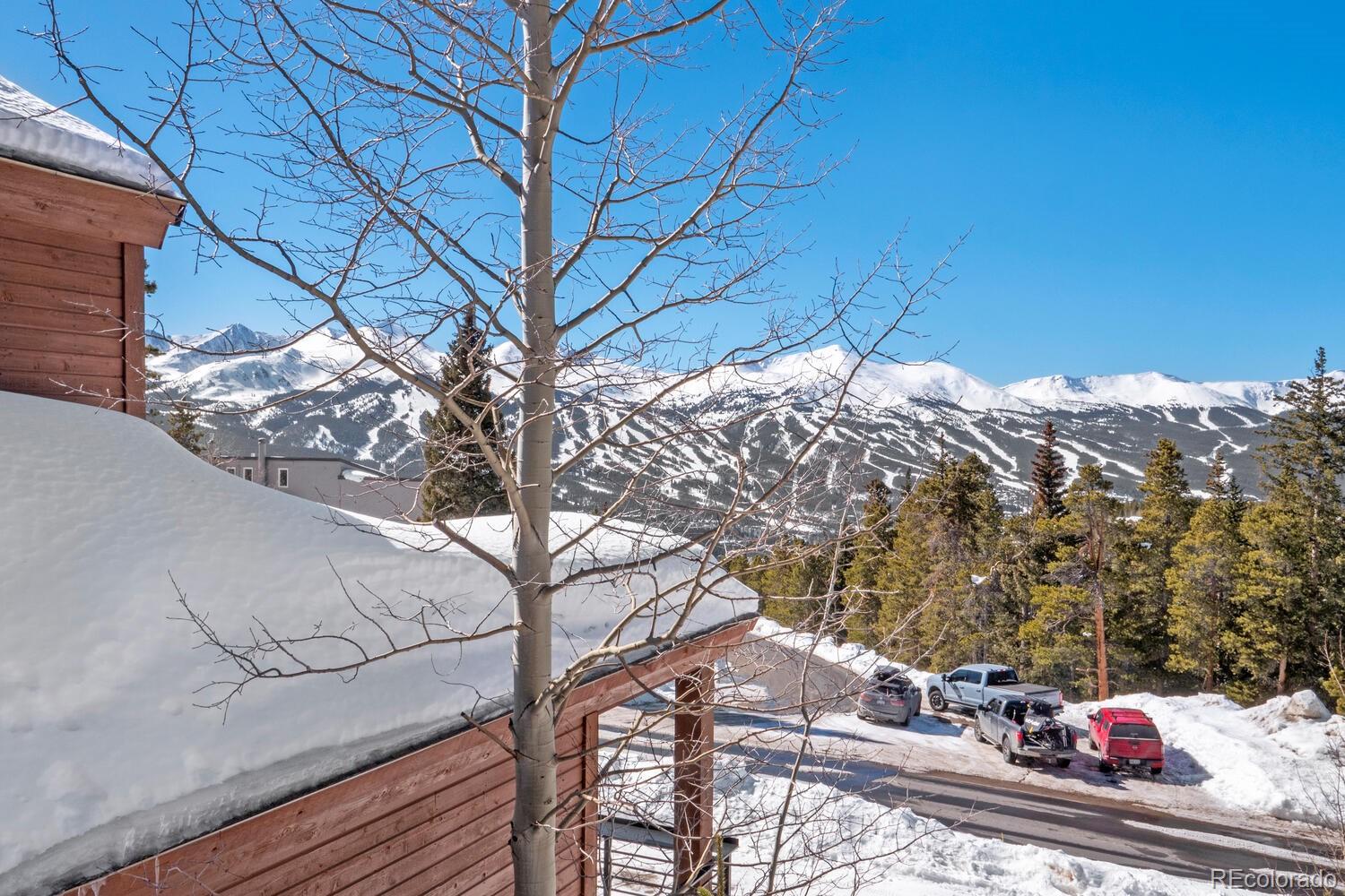 MLS Image #42 for 160 n fuller placer road,breckenridge, Colorado