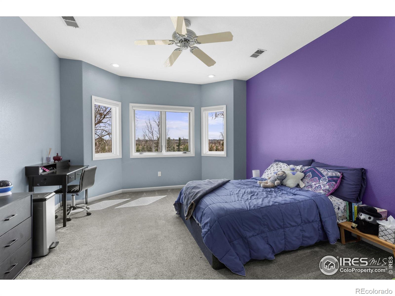 MLS Image #28 for 10391 e goose haven drive,lafayette, Colorado