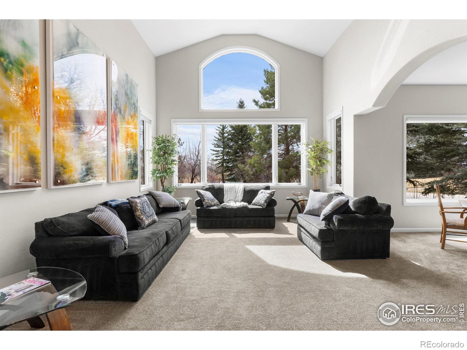MLS Image #6 for 10391 e goose haven drive,lafayette, Colorado