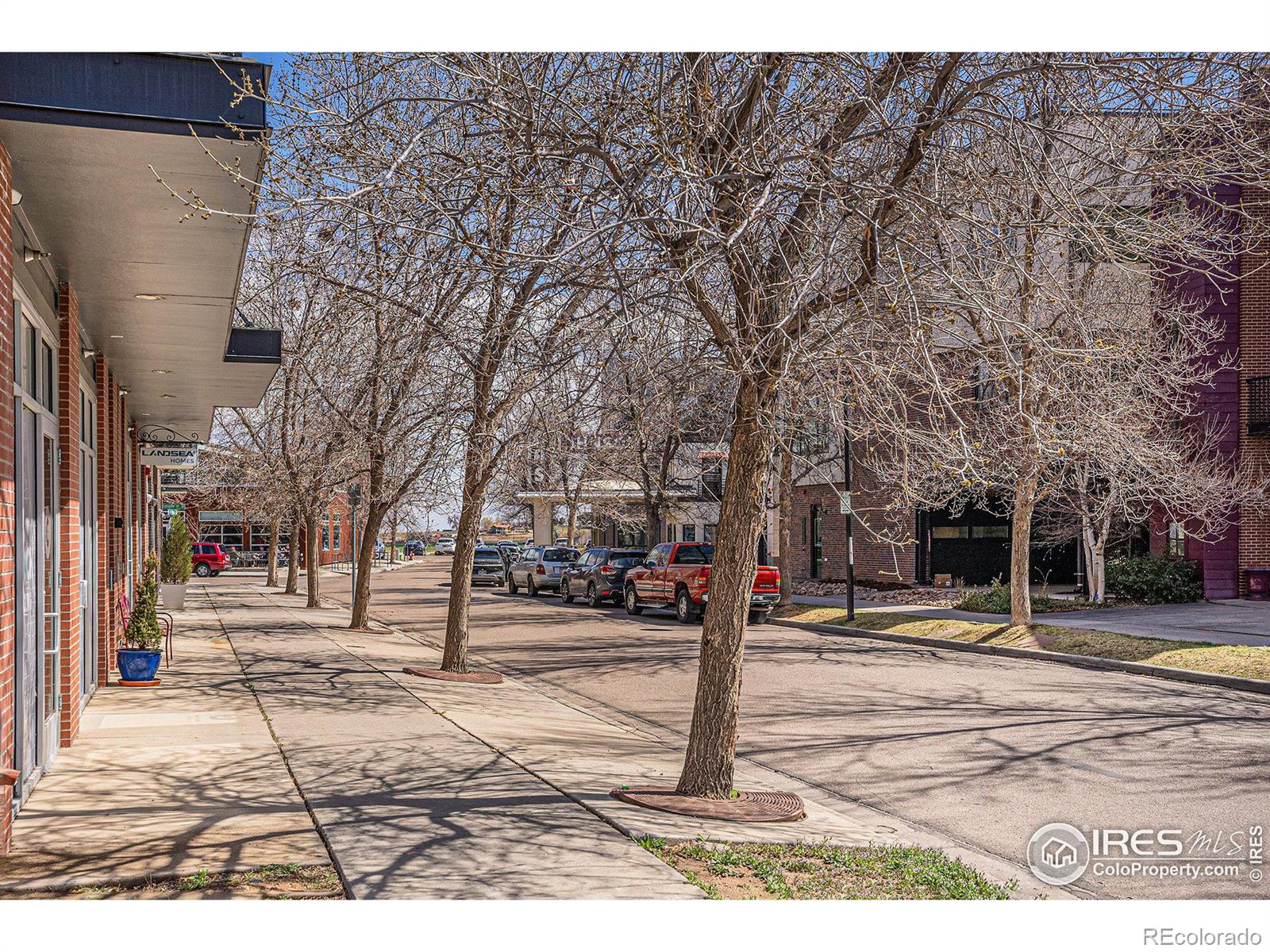 MLS Image #21 for 1529  ashcroft drive,longmont, Colorado
