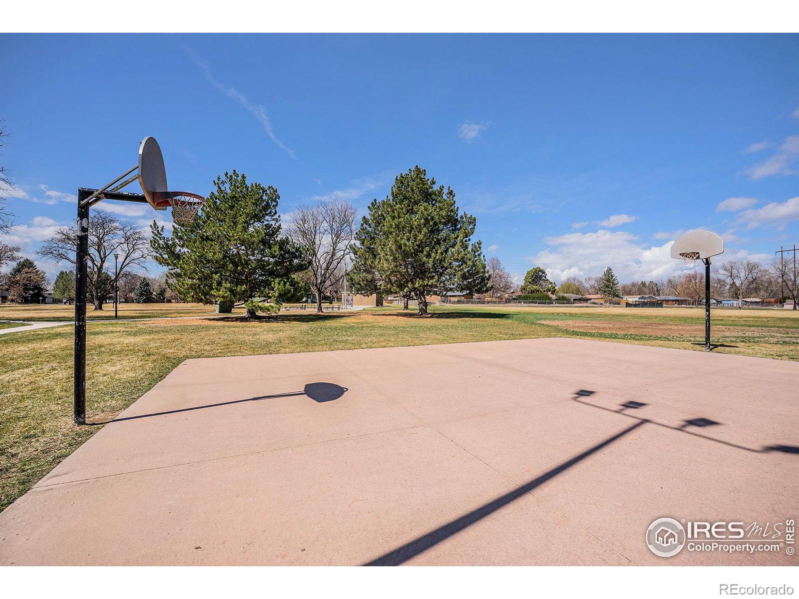 MLS Image #24 for 1529  ashcroft drive,longmont, Colorado