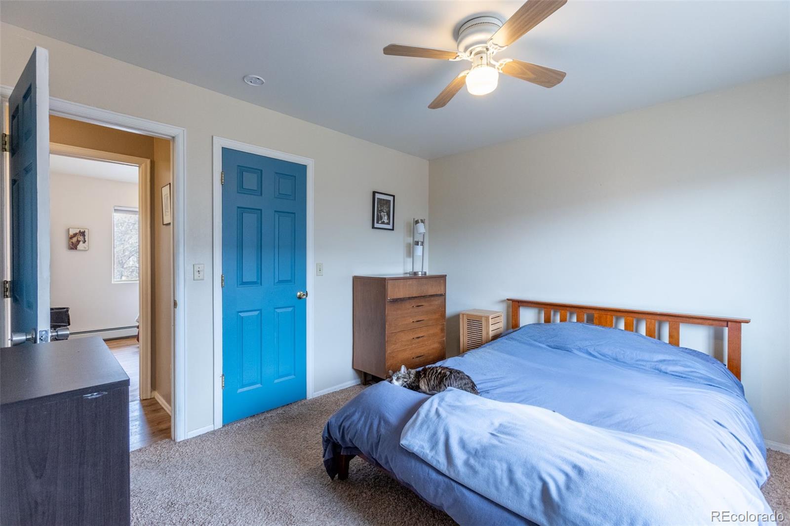 MLS Image #20 for 132  windwalker road,buena vista, Colorado