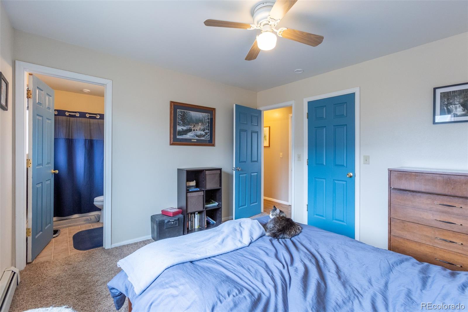 MLS Image #21 for 132  windwalker road,buena vista, Colorado