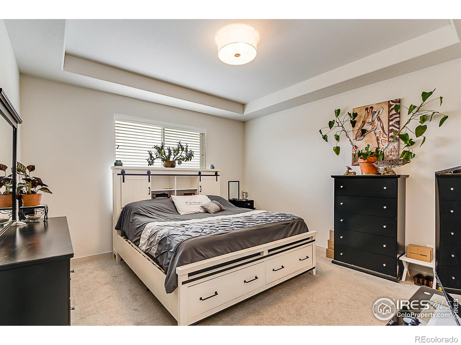 MLS Image #12 for 6504  2nd street,greeley, Colorado