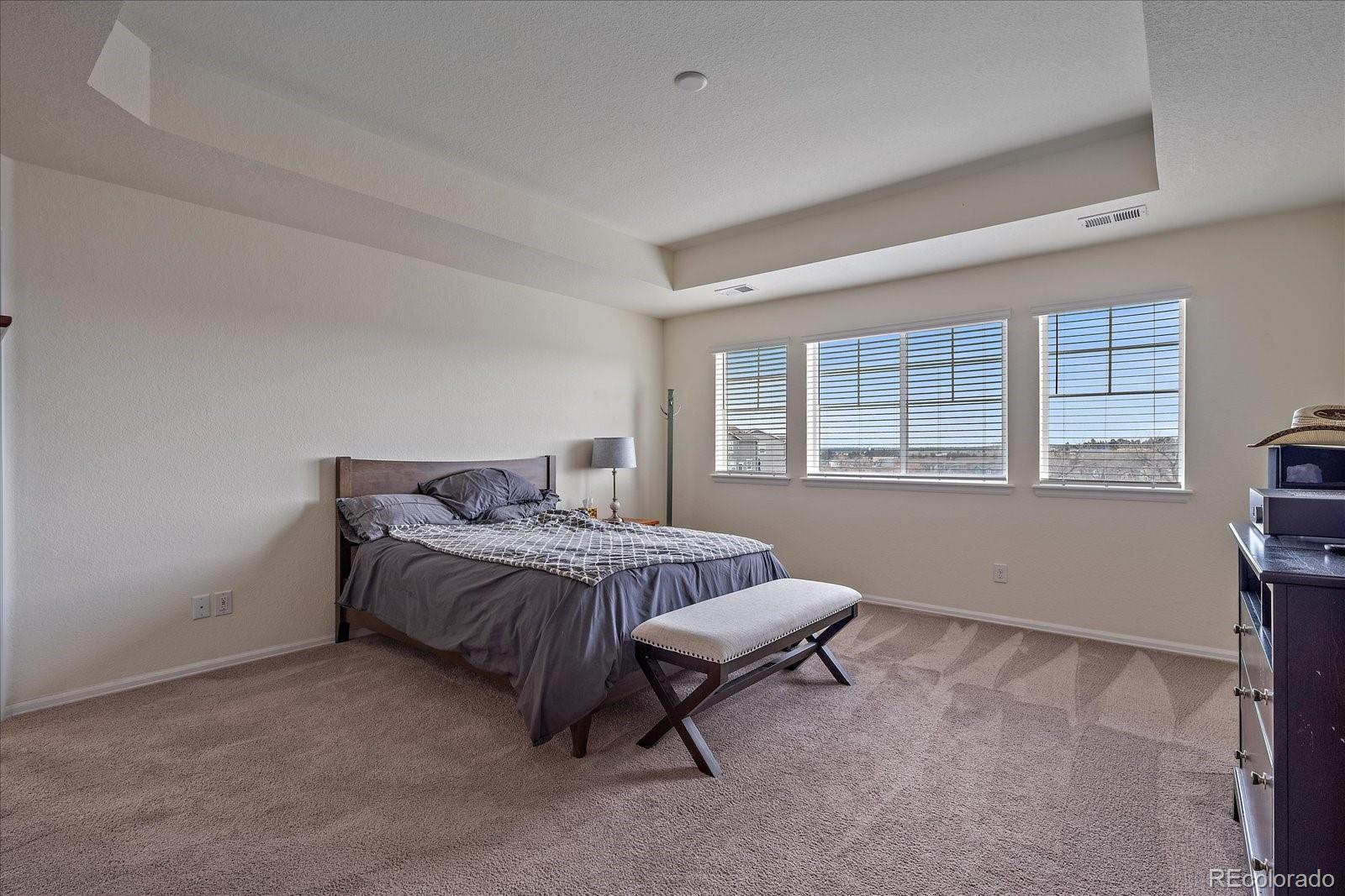 MLS Image #10 for 1202  lance leaf court,elizabeth, Colorado
