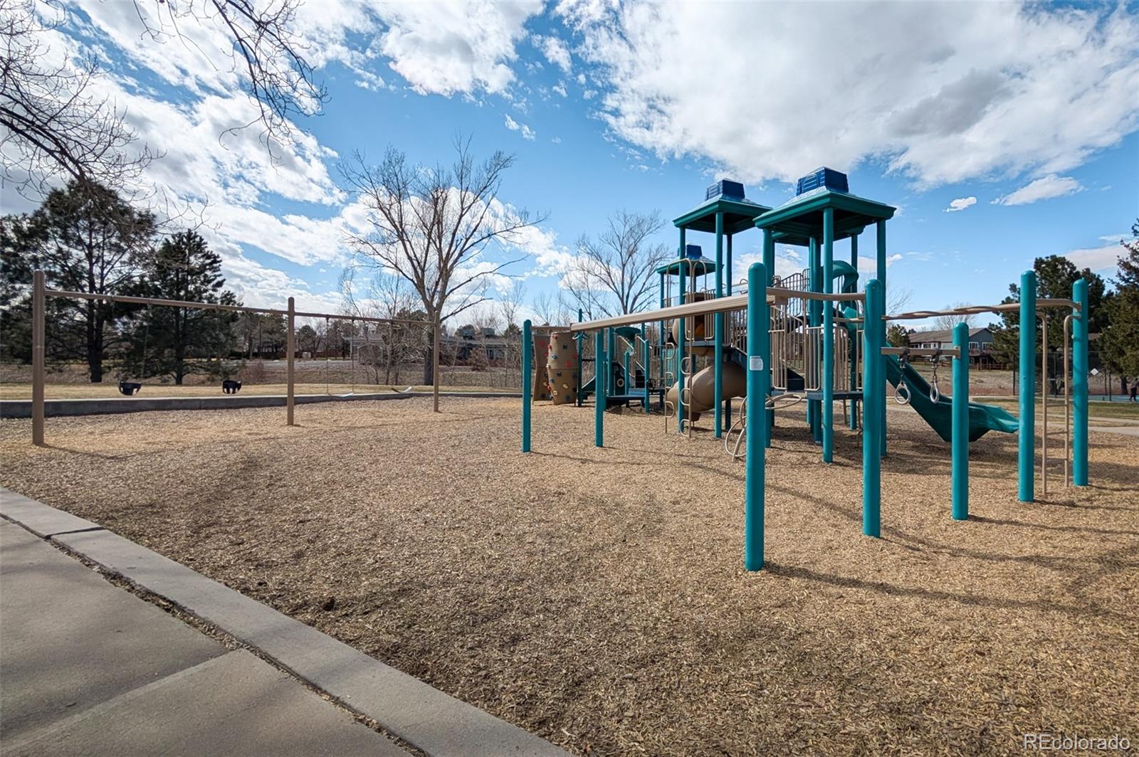 MLS Image #40 for 338  chelsea street,castle rock, Colorado