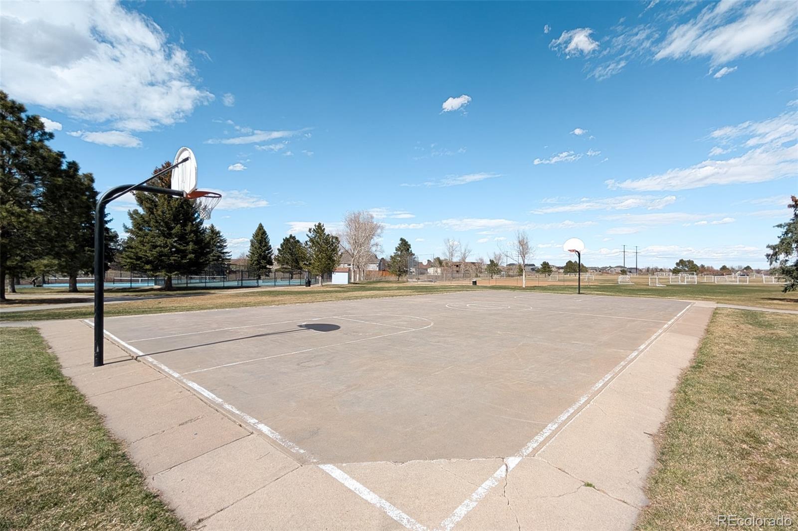 MLS Image #41 for 338  chelsea street,castle rock, Colorado